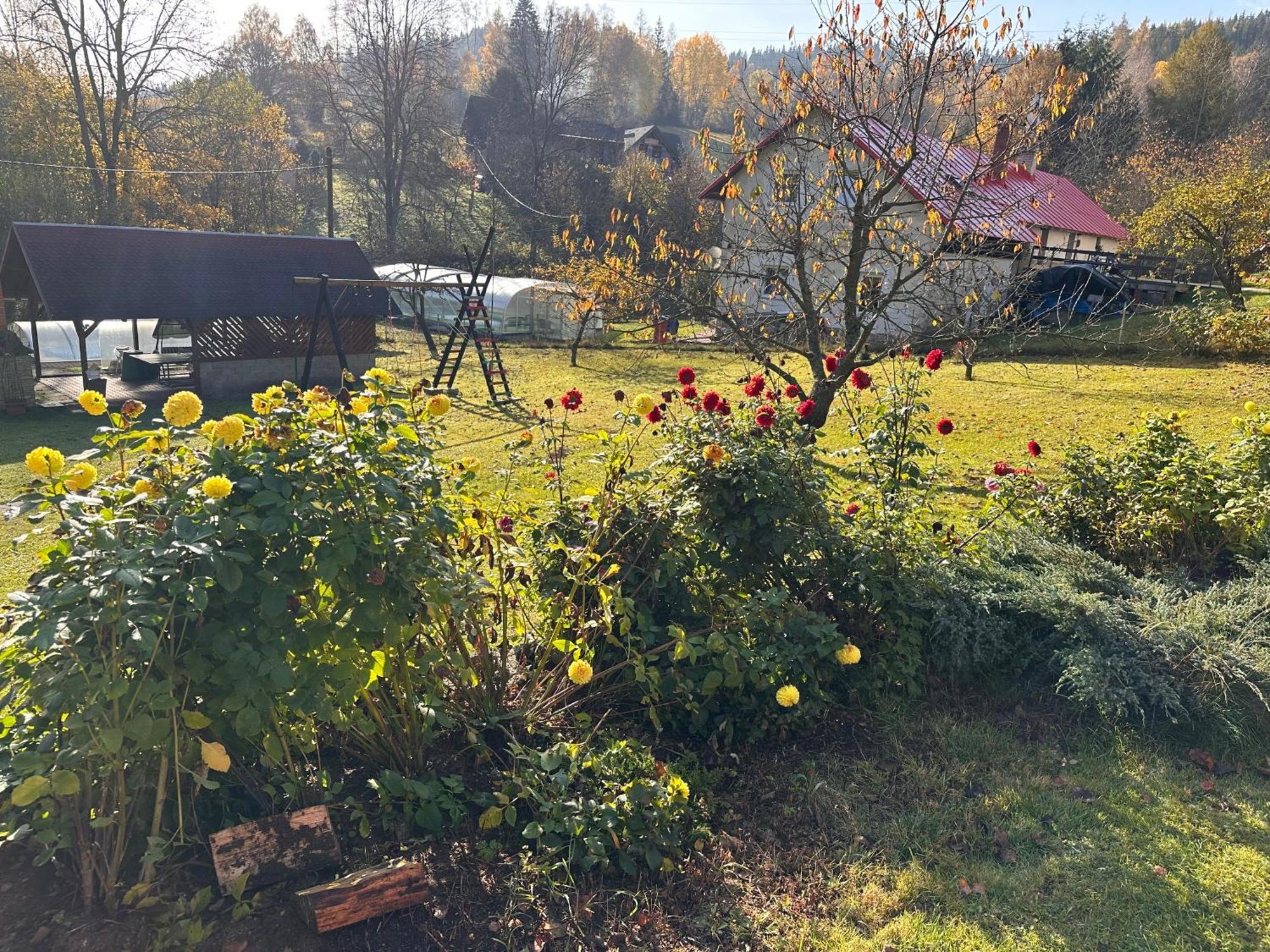 Chata U Vleku Studena エクステリア 写真